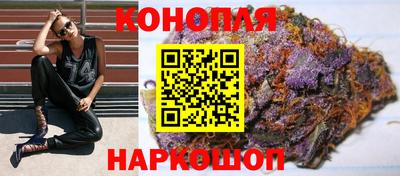 шишки Изобильный