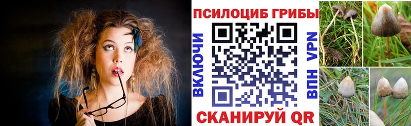 Псилоцибиновые грибы Magic Shrooms  наркота  Новоалтайск 