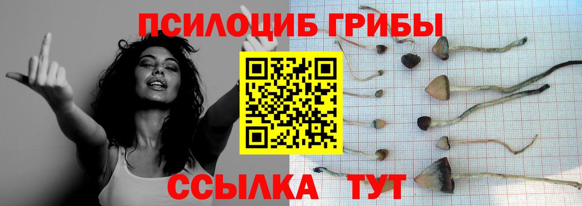 Псилоцибиновые грибы мухоморы Новоалтайск