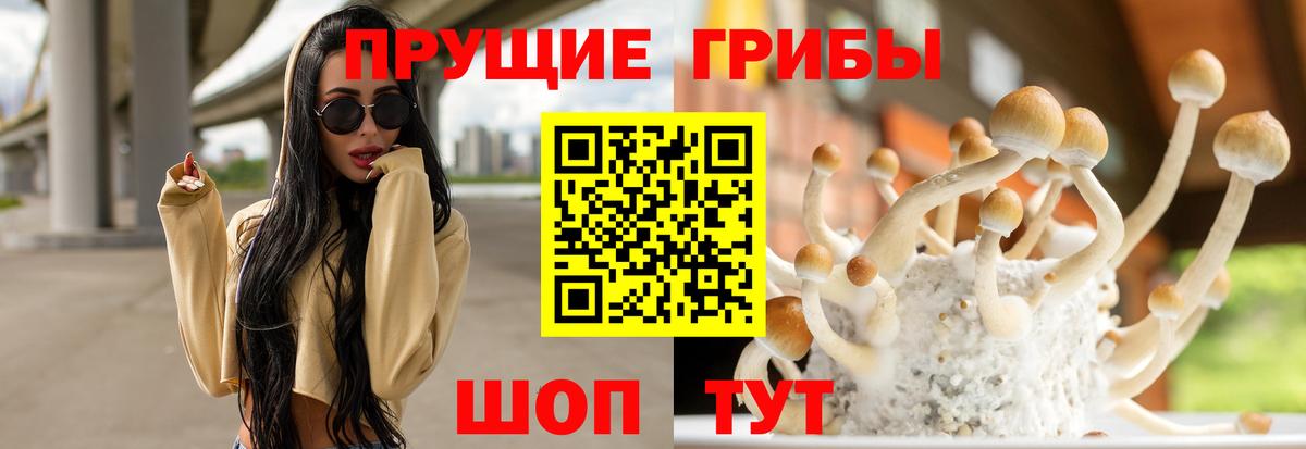 Галлюциногенные грибы Cubensis  Вход с VPN  Новоалтайск 
