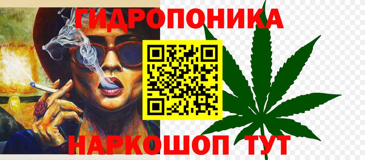 Канабис OG Kush Новоалтайск